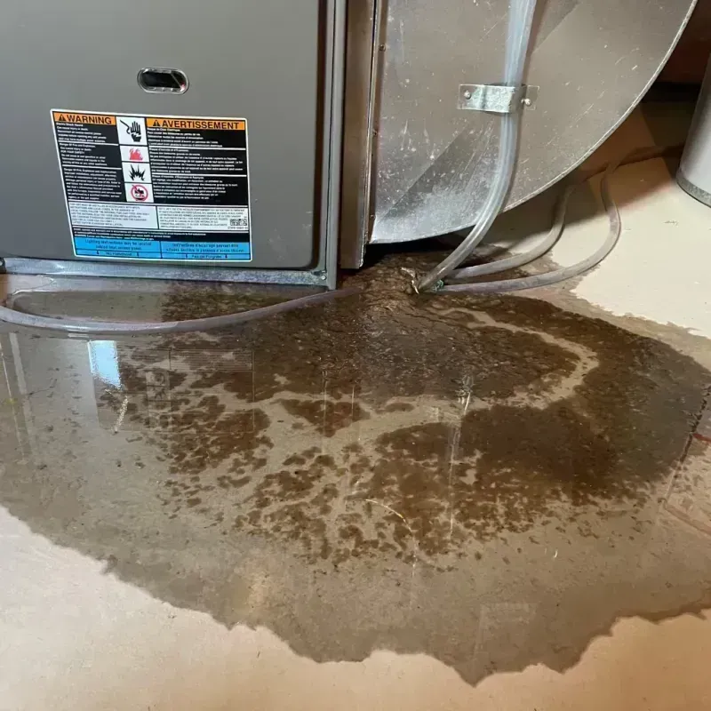 Appliance Leak Cleanup in Jasper County, MO